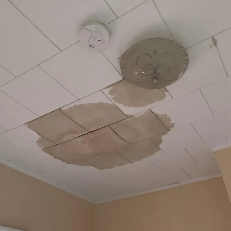 Ceiling Water Damage Repair in Harbor Isle, NY